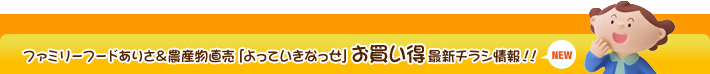 お買い得チラシ情報