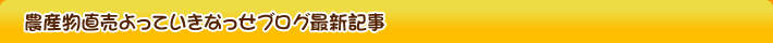 農産物直売よっていきなっせブログ最新記事